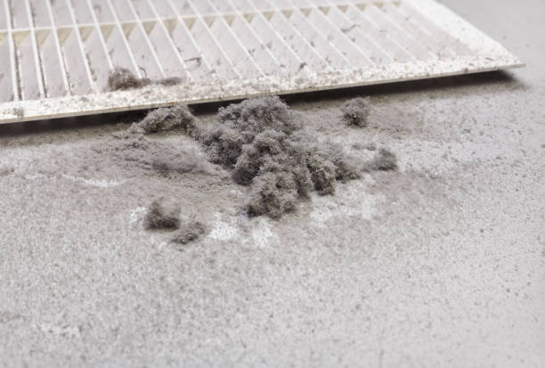 Best Air Duct Cleaning Near Me  in Palmer Ranch, FL