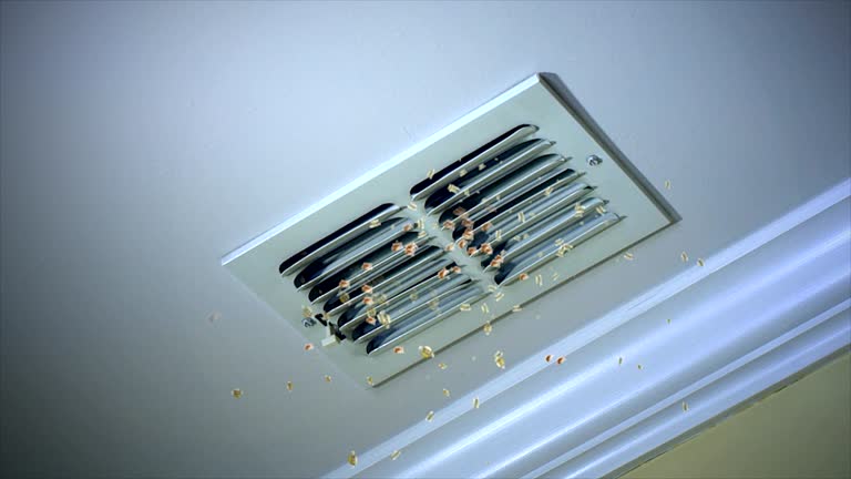 Best Affordable Air Duct Cleaning  in Palmer Ranch, FL