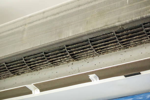 Best Air Duct Cleaning Near Me  in Palmer Ranch, FL